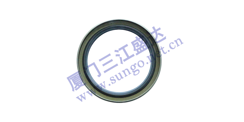 影響油封正常運(yùn)轉(zhuǎn)的因素有哪些？