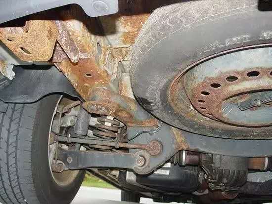 七分養(yǎng)、三分修丨以養(yǎng)代修，真心??！